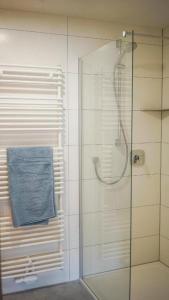 bagno con doccia in vetro e asciugamano blu di Ferienwohnung Trendelmühle Lautrach a Lautrach