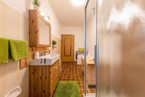 a small bathroom with a sink and a shower at Casa Sara in Pozza di Fassa