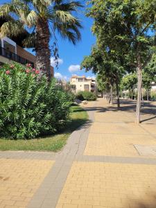Fotografie z fotogalerie ubytování Islantilla Centro Primera Linea v destinaci Islantilla + 10 fotografií