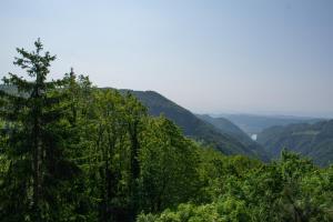Elle offre une vue sur une vallée avec des arbres et des montagnes. dans l'établissement BB Gore, à Dol pri Hrastniku