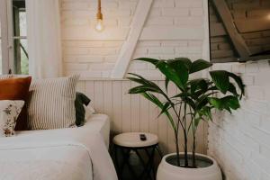a living room with a couch and a plant at Casa de campo em Joinville com Hidromassagem e Lareira in Joinville