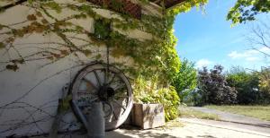Un jardín fuera de Les Gites de Campardon