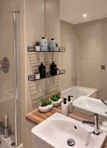 a bathroom with a sink and a shower with plants on a shelf at Lovely Charming 2-Bedroom Apartment in Bow London in London