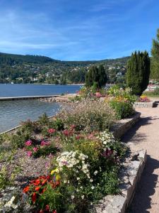 ogród kwiatów obok zbiornika wodnego w obiekcie Charmant chalet, spacieux, proche du lac, vue sur la montagne w mieście Gérardmer