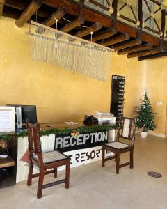 Mawe Zuri Resort في واتامو: مكتب استقبال و كرسيين و شجرة عيد الميلاد