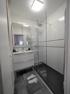 La salle de bains est pourvue d'une douche en verre et d'un lavabo. dans l'établissement Grand F1 - Metro Direct Paris et sites Olympiques, à Issy-les-Moulineaux