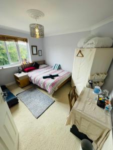 a bedroom with a bed and a bunk bed at Home from home Norwich centre in Norwich