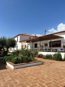 a house with a courtyard with plants in front of it at Viva! Farmhouse in Monsaraz