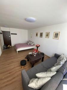カウナスにあるNice place to stay close to cityのソファとテーブルのあるリビングルーム