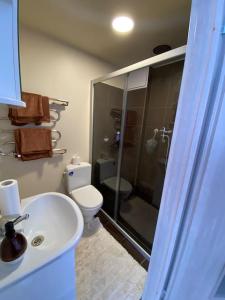 カウナスにあるNice place to stay close to cityのトイレ、洗面台、シャワー付きのバスルーム