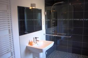 a bathroom with a sink and a shower at Wolgast, FeWo Wieck in Mahlzow