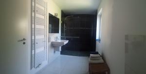 a bathroom with a sink and a shower and a toilet at Wolgast, FeWo Wieck in Mahlzow