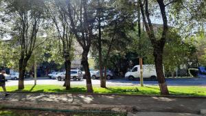 a person walking down a sidewalk next to trees at Квартира одна-комнатная in Yerevan +5 photos