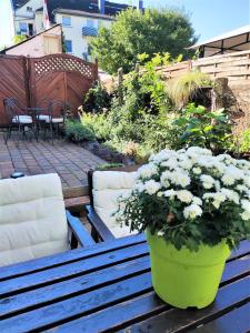 a green pot of flowers sitting on a wooden bench at Apartment mit Garten, 10 min zu Fuß in die Koblenzer Altstadt in Koblenz