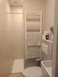 a small bathroom with a toilet and a shower at Le pigeonnier d'Agnès in Jenzat