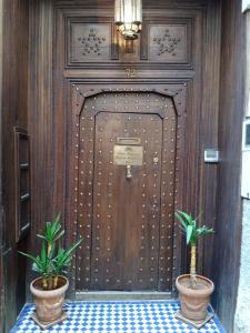 a door with two potted plants in front of it at Riad Meyssane Fès in Fez