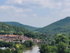 a town in the middle of a river with a bridge at Chambre en bordure d'Aveyron in Saint-Antonin