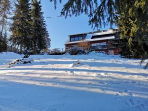 un patio cubierto de nieve con un edificio en el fondo en Ferienhaus Anjofina, en Altenau