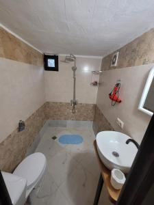 y baño con aseo y lavamanos. en Guest cottage - Nanka's house en Batumi