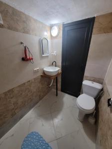 y baño con aseo blanco y lavamanos. en Guest cottage - Nanka's house en Batumi