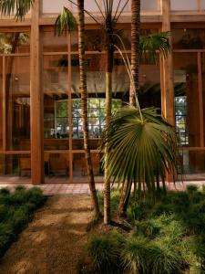 a palm tree in front of a building at Rooms Hotel Batumi in Batumi