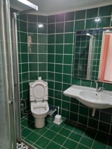 La salle de bains est pourvue de carrelage vert, de toilettes et d'un lavabo. dans l'établissement Aksoy Otel, à Adana