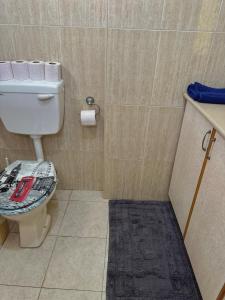 a small bathroom with a toilet and a rug at ELIAS Penthouse in Nazareth