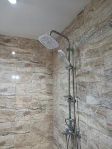 a shower in a bathroom with a stone wall at 2-ра двойна стая in Dragoman