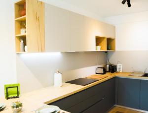 Η κουζίνα ή μικρή κουζίνα στο Premium new apartment with panoramic castle view +17 φωτογραφίες