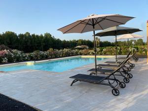 2 sedie a sdraio con ombrelloni accanto alla piscina di Maris Suite - Appartamento con vasca idromassaggio ad Alghero