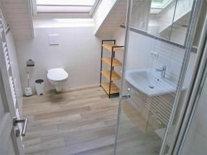 a bathroom with a sink and a toilet at Holiday Home Schwan by Interhome in Granzow
