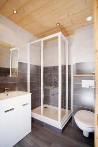 La salle de bains est pourvue d'une douche, de toilettes et d'un lavabo. dans l'établissement La Pointe Percée, au Grand-Bornand