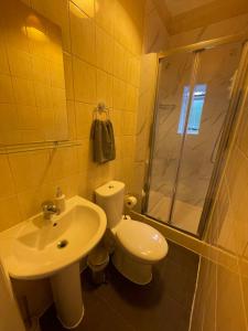 a bathroom with a toilet and a sink and a shower at Wonderful fully-equipped studio near Central London in London