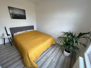 a bedroom with a bed and a potted plant at Spacious Modern Flat in Mitcham in Mitcham