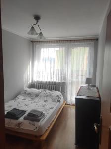 1 dormitorio con 1 cama y una ventana con cortinas en Apartament/mieszkanie-Wałbrzych Piaskowa Góra, en Wałbrzych