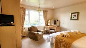 a bedroom with a bed and a chair and a television at Birchcroft Hideaway in Ferndown