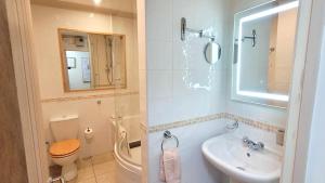 a bathroom with a sink and a toilet and a mirror at Birchcroft Hideaway in Ferndown +34 photos