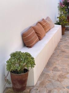 deux oreillers assis sur un banc avec des plantes dans l'établissement Três Figos, à São Luis