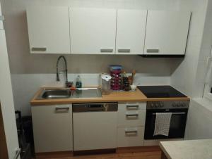 Kuchyň nebo kuchyňský kout v ubytování Ferienwohnung Patrycja