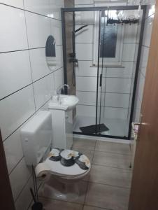 a bathroom with a toilet and a sink and a shower at Ferienwohnung Patrycja in Weissenbach am Lech