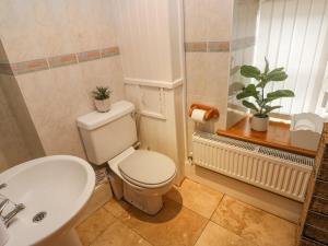 a bathroom with a white toilet and a sink at Y Cartws in Eglwyswrw