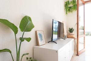 a living room with a tv and a plant at Blu Mare apartment in Peñíscola