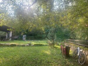 SocolariCasa de Piatra的相册照片