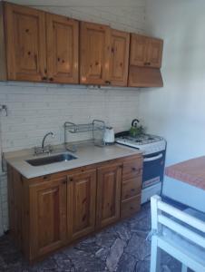 cocina con armarios de madera, fregadero y fogones en Disfruta como local en Mendoza