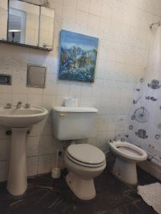 a bathroom with a toilet and a sink at Disfruta como local in Mendoza