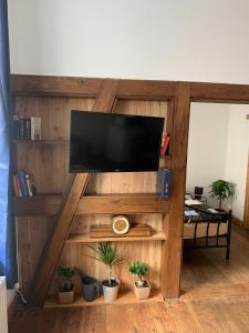 een tv aan een houten muur met potplanten bij Wohnen in Schlossnähe in Schwerin