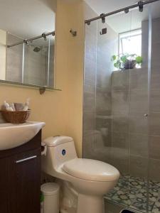 ein Bad mit einer Dusche, einem WC und einem Waschbecken in der Unterkunft Magnifico apartamento in Bogotá