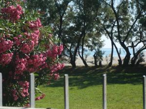 una recinzione con fiori rosa e alberi sullo sfondo di Residence Marche - Residenza Ecologica a Lido di Fermo