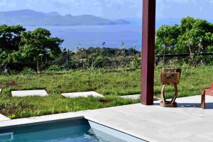 a statue of a chair sitting next to a pool at Les Hauteurs de Citronnelles in Case-Pilote
