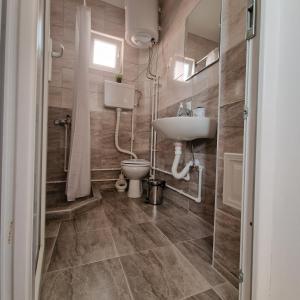 ein Bad mit einem Waschbecken und einem WC in der Unterkunft Apartman "Lola" in Pirot